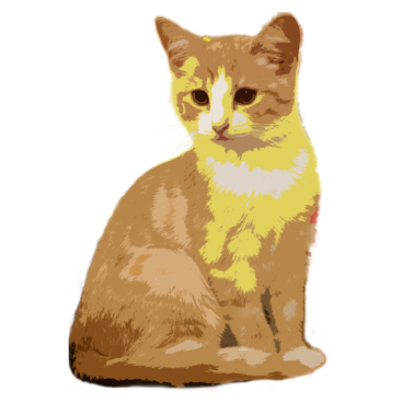 Motiv Katzen Katze