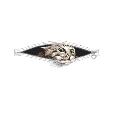 Motiv Katze Katzen