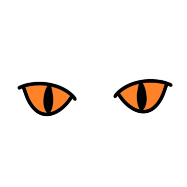 Motiv Katzen Katzenaugen Katze