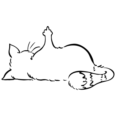 Motiv Katze Nö, Nein, Mittelfinger, nope, ohne Text