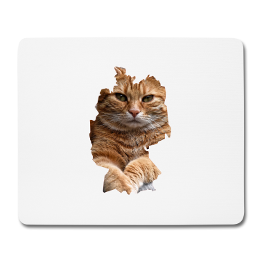 Katzen Mousepad - Katze, Katzen