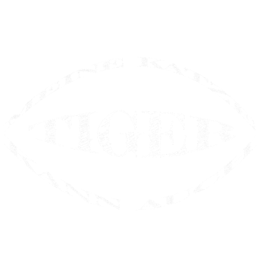 Motiv katze - meine Katze kann auch Tiger