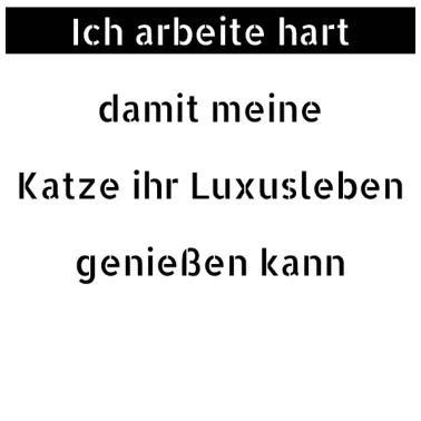 Motiv katze - Luxusleben einer Katze