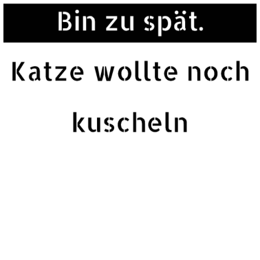 Motiv katze - Katze wollte kuscheln