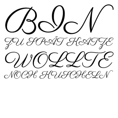 Motiv katze - Katze wollte kuscheln