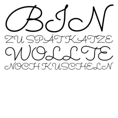 Motiv katze - Katze wollte kuscheln