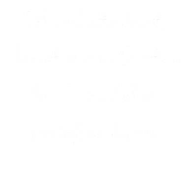 Motiv katze - Luxusleben einer Katze