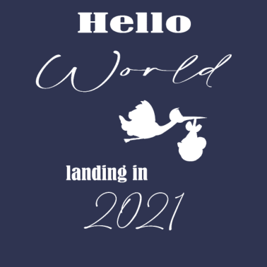 Motiv Geburt 2021 | Storch Landung 2021