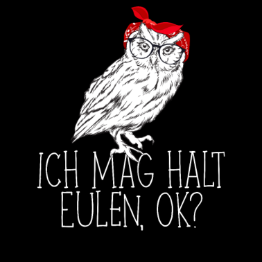 Motiv ich mag halt Eulen ok süßes Eulen Geschenk