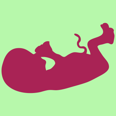 Motiv Geburt des Fötusbabys 4