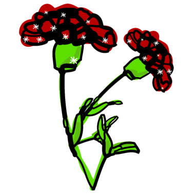 Motiv Januar Geburt Blume Nelken