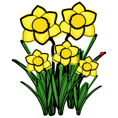 Motiv März Geburt Blume Narzissen