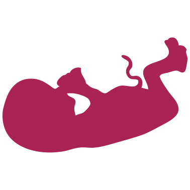 Motiv Geburt des Fötusbabys 4