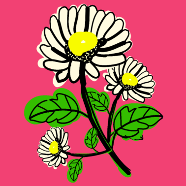 Motiv April Geburt Blume Daisy