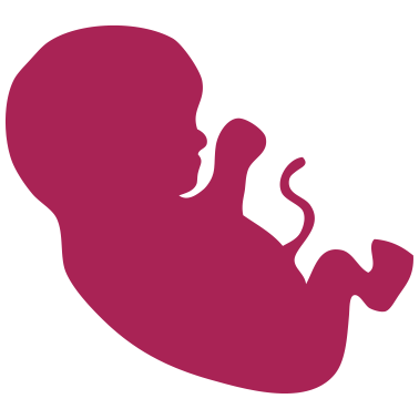 Motiv Baby Fötus Geburt 3