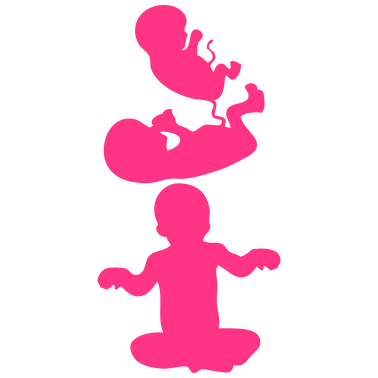 Motiv bebe evolution feetus geburt