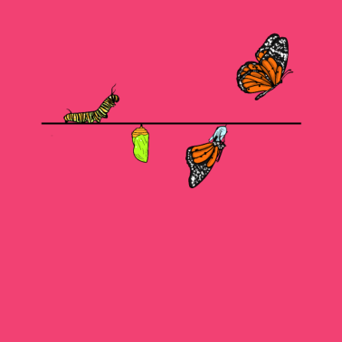 Motiv Schmetterling Metamorphose Geburt Geschenk