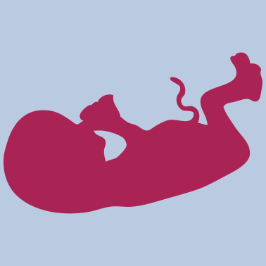 Motiv Geburt des Fötusbabys 4