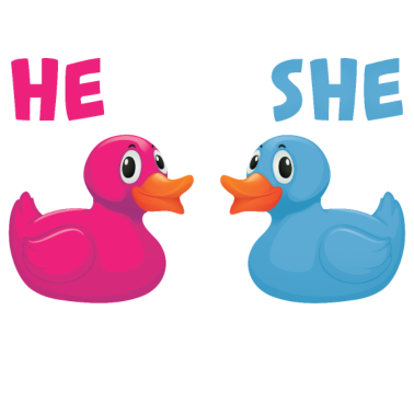 Motiv Er oder Sie was wird es Geburt Schwangerschaft