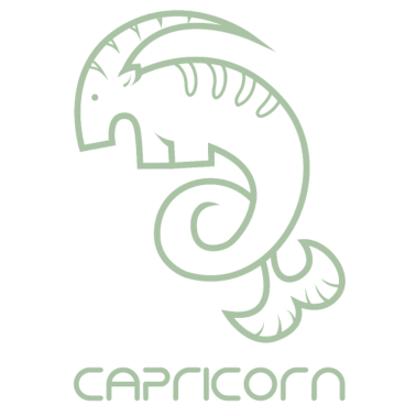 Motiv Sternzeichen Geschenk Steinbock Capricorn Geburt