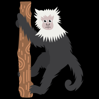 Motiv Kapuzineraffen