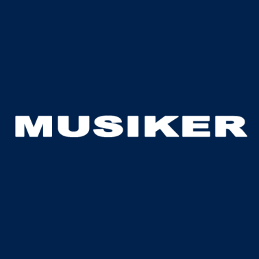 Motiv Musiker