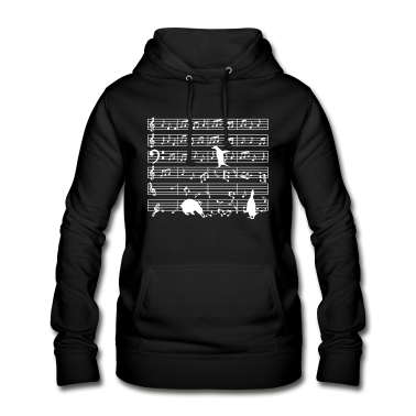 Musik LK Hoodie - Musiklehrer Noten-Musiker Pinguin