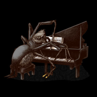 Motiv spider Pianist