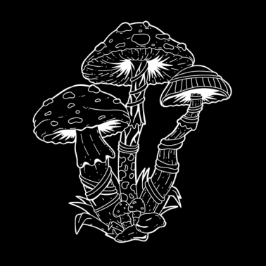 Motiv Pilze LSD Party Drogen Acid