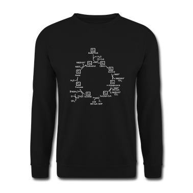 Bio LK Pullover - Citratzyklus Biochemie Biologie Chemie Geschenk