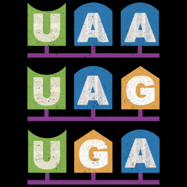 Motiv Stopcodon Biologie Biochemie Chemie Mikrobiologie