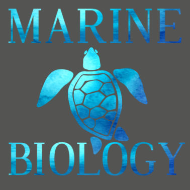 Motiv Marine Biology Meeres Biologie Ozean Meeresbiologe