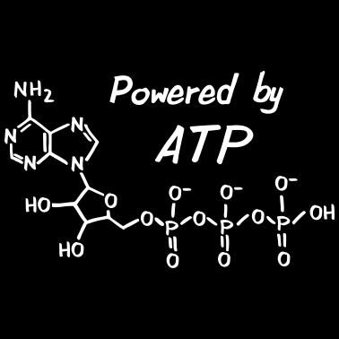 Motiv Powered by ATP