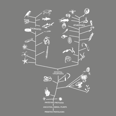 Motiv Baum des Lebens Biologie Biologe Geschenk