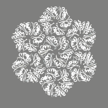 Motiv Protein Molekül Struktur Biologie