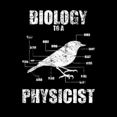 Motiv Physik Biologie