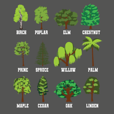 Motiv Bäume Biologie Biologie