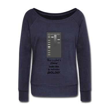 Bio LK Pullover - Biologie Gelelektrophorese