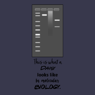Motiv Biologie Gelelektrophorese