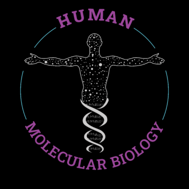 Motiv Molekular Biologie