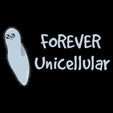 Motiv Bakterien Biologie