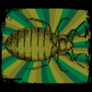 Motiv Biologie Insekt