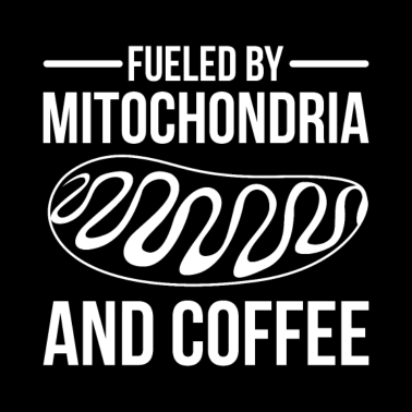 Motiv Biologie Kaffee