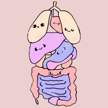 Motiv Organe Anatomie biologie