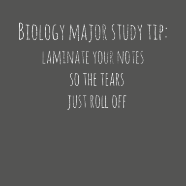 Motiv Biologie Stundenten Tipp