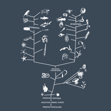 Motiv Baum des Lebens Biologie Biologe Geschenk