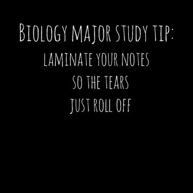 Motiv Biologie Studieren