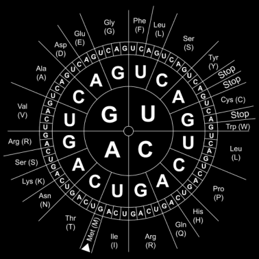 Motiv Code-Sonne/Genetik/DNA/DNS/Biologie/Wissenschaft