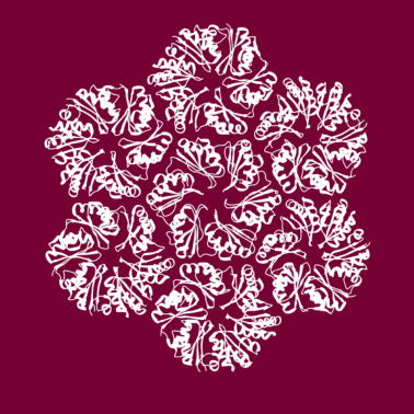 Motiv Protein Molekül Struktur Biologie