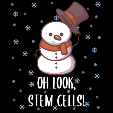 Motiv Weihnachten Biologie Lehrer Student Schneemann